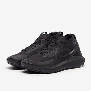 Nike Pegasus Trail 4 GORE-TEX