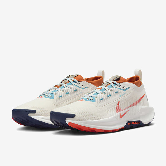 Nike Pegasus Trail 5 GORE-TEX