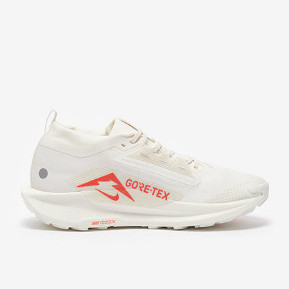 Nike Pegasus Trail 5 GORE-TEX