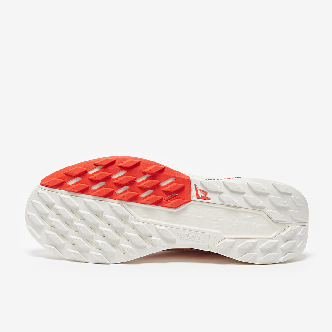 Nike Pegasus Trail 5 GORE-TEX