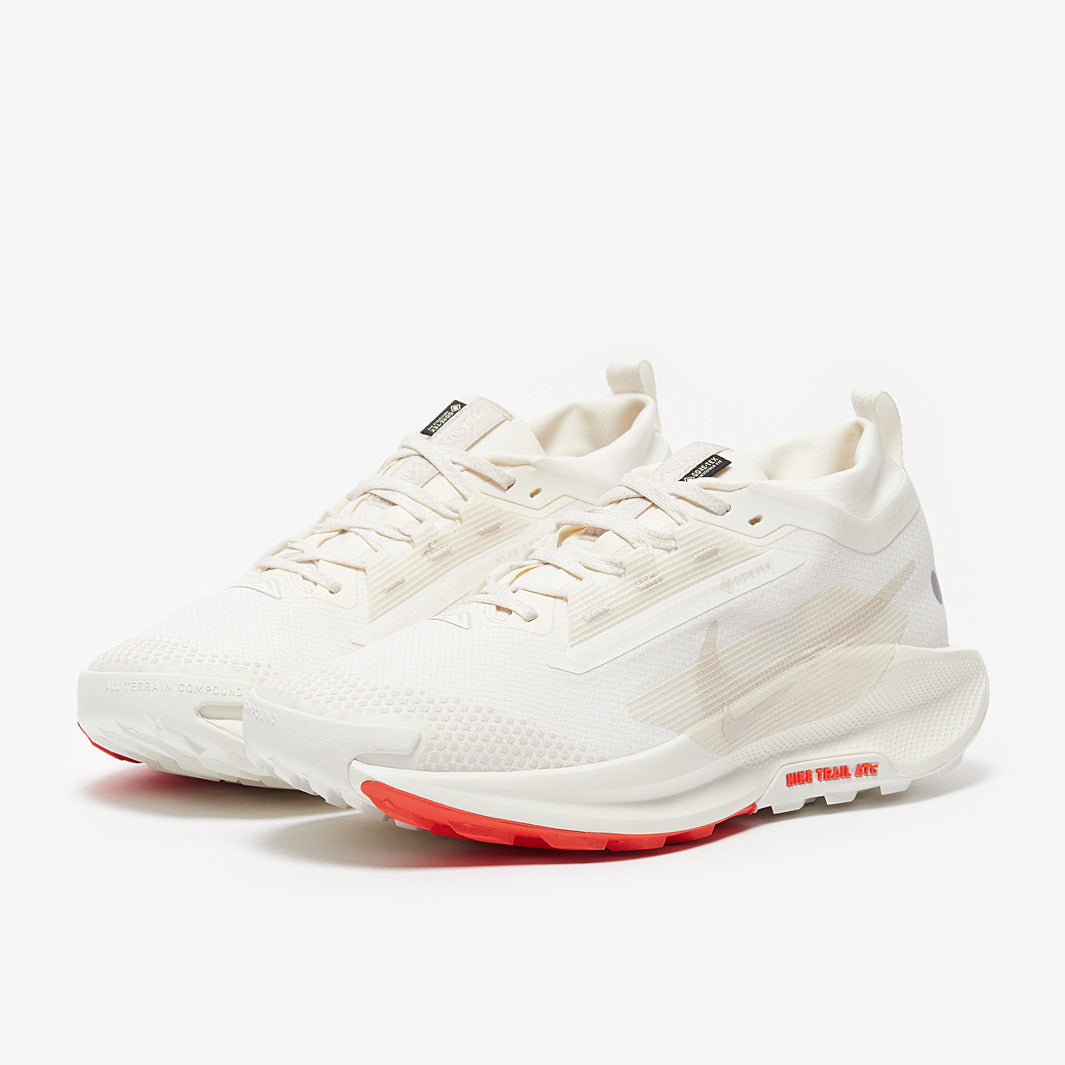 Nike Pegasus Trail 5 GORE-TEX