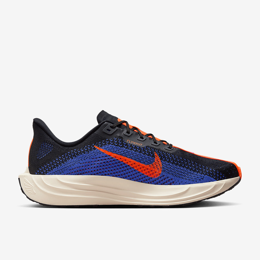 Nike Pegasus Plus