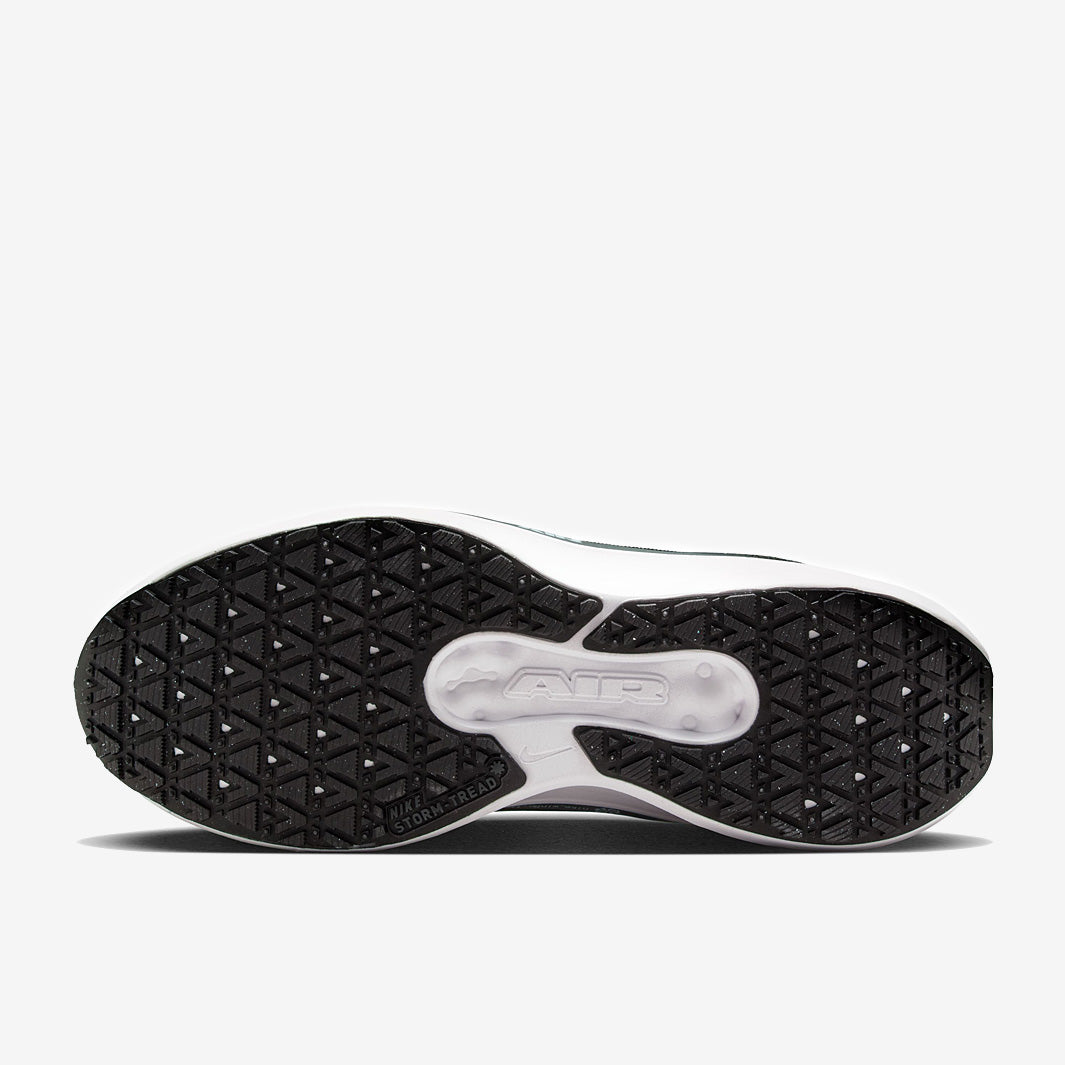 Nike Womens Winflo 11 GORE-TEX - Anthracite/Metallic Silver