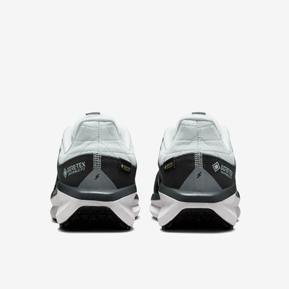 Nike Womens Winflo 11 GORE-TEX - Anthracite/Metallic Silver