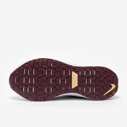 Nike Infinity Run 4 GORE-TEX - Ashen Slate/Football Grey