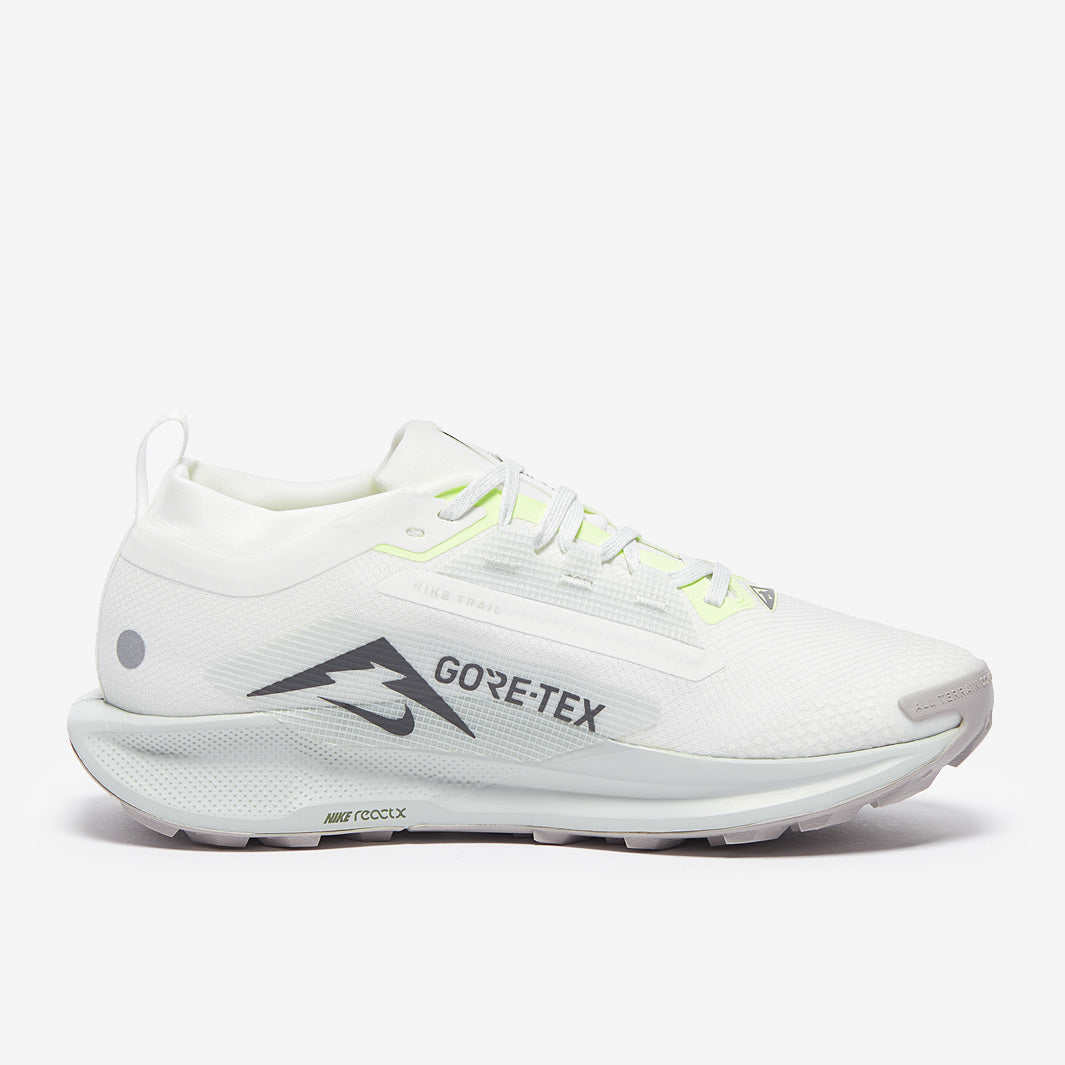 Nike Pegasus Trail 5 GORE-TEX