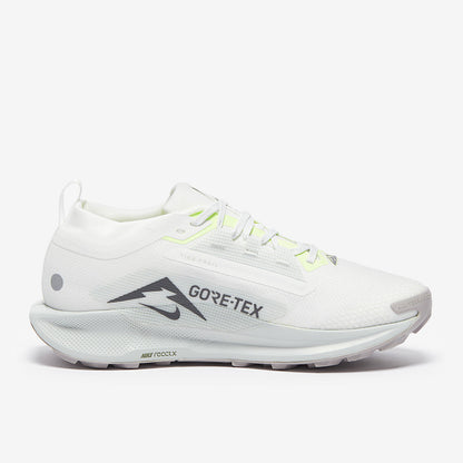 Nike Pegasus Trail 5 GORE-TEX