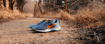 Nike ReactX Pegasus Trail 5