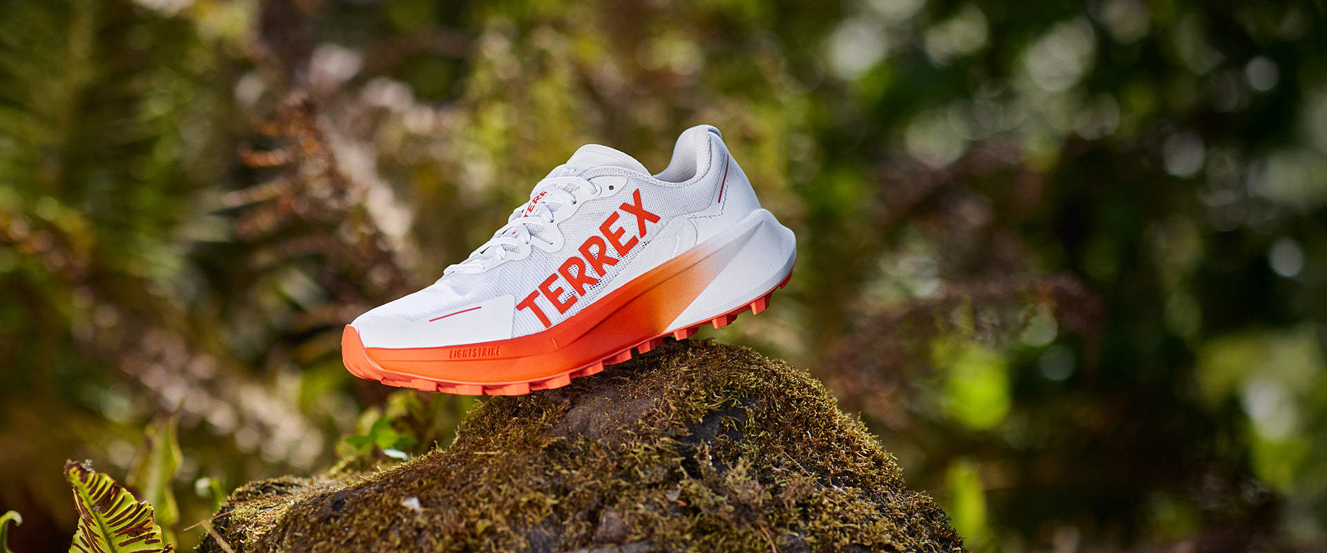 adidas Womens Terrex Agravic 3 Trail