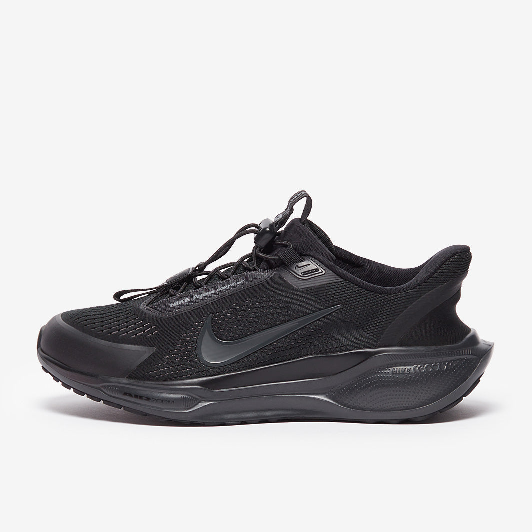 Nike Pegasus Easyon