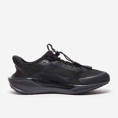 Nike Pegasus Easyon