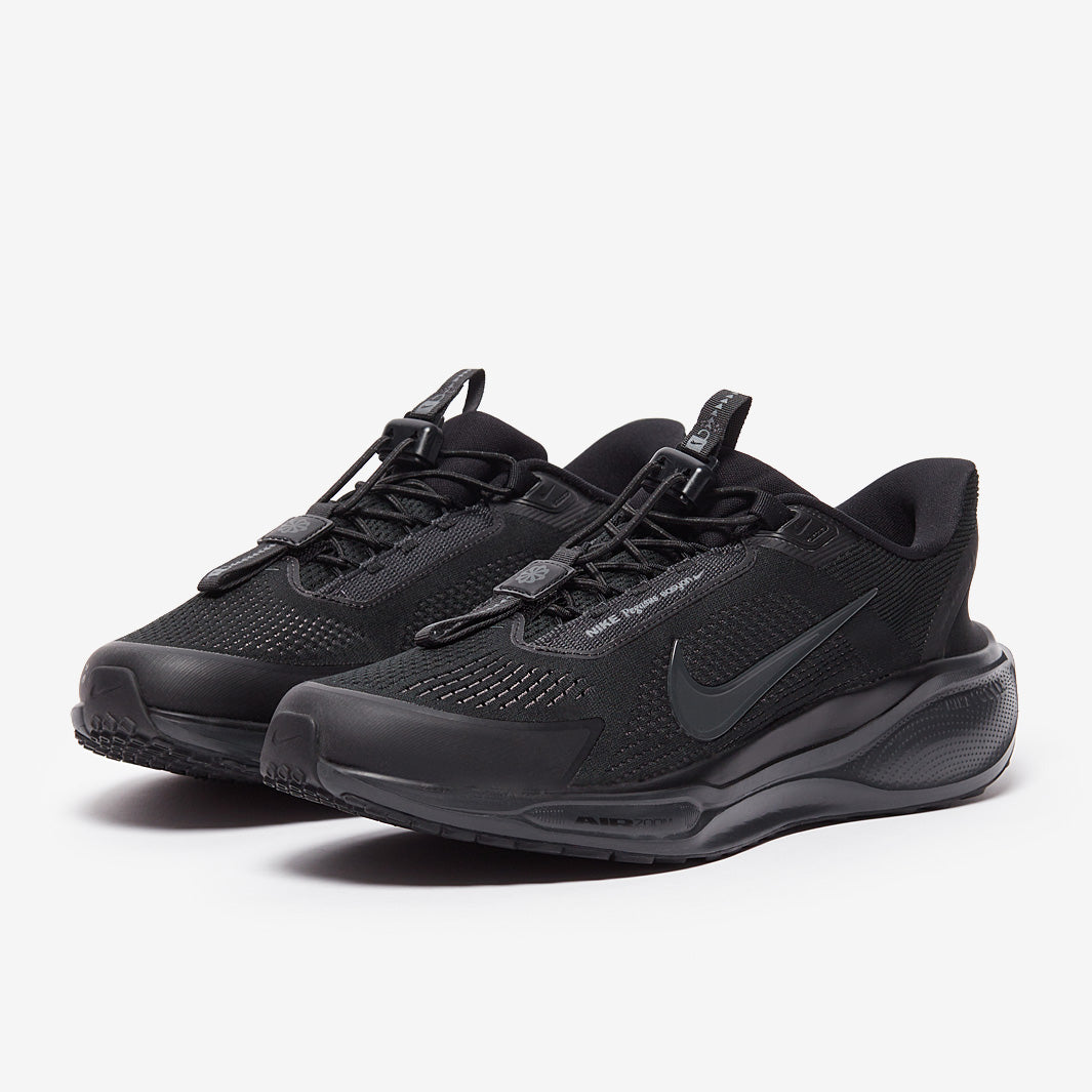 Nike Pegasus Easyon