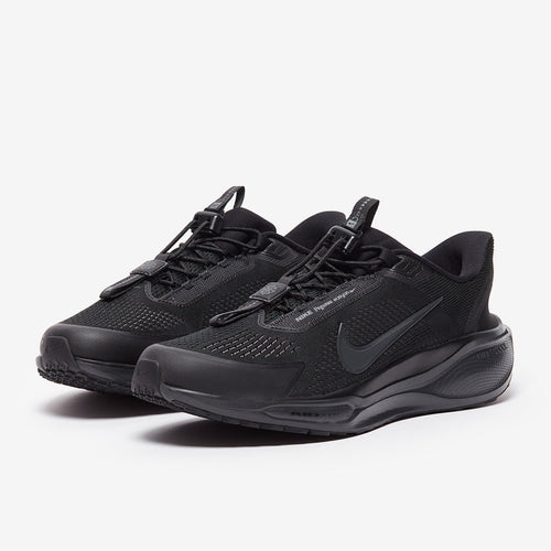 Nike Pegasus Easyon