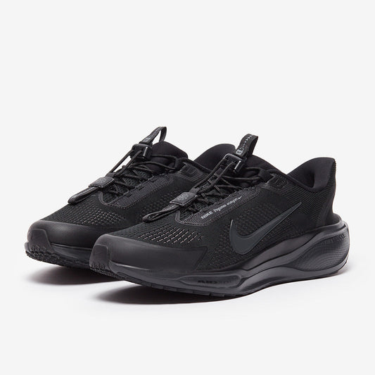 Nike Pegasus Easyon