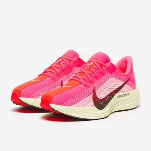 Nike Pegasus Plus