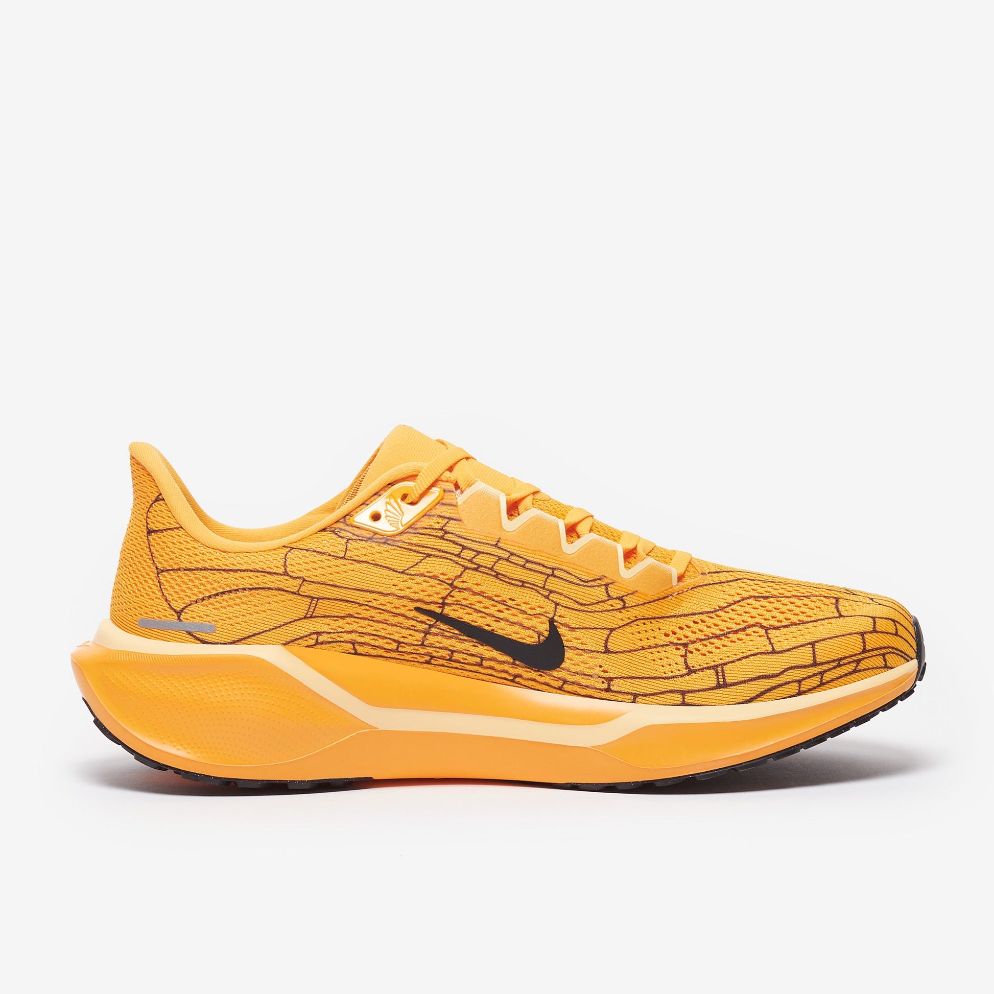 Nike Pegasus 41