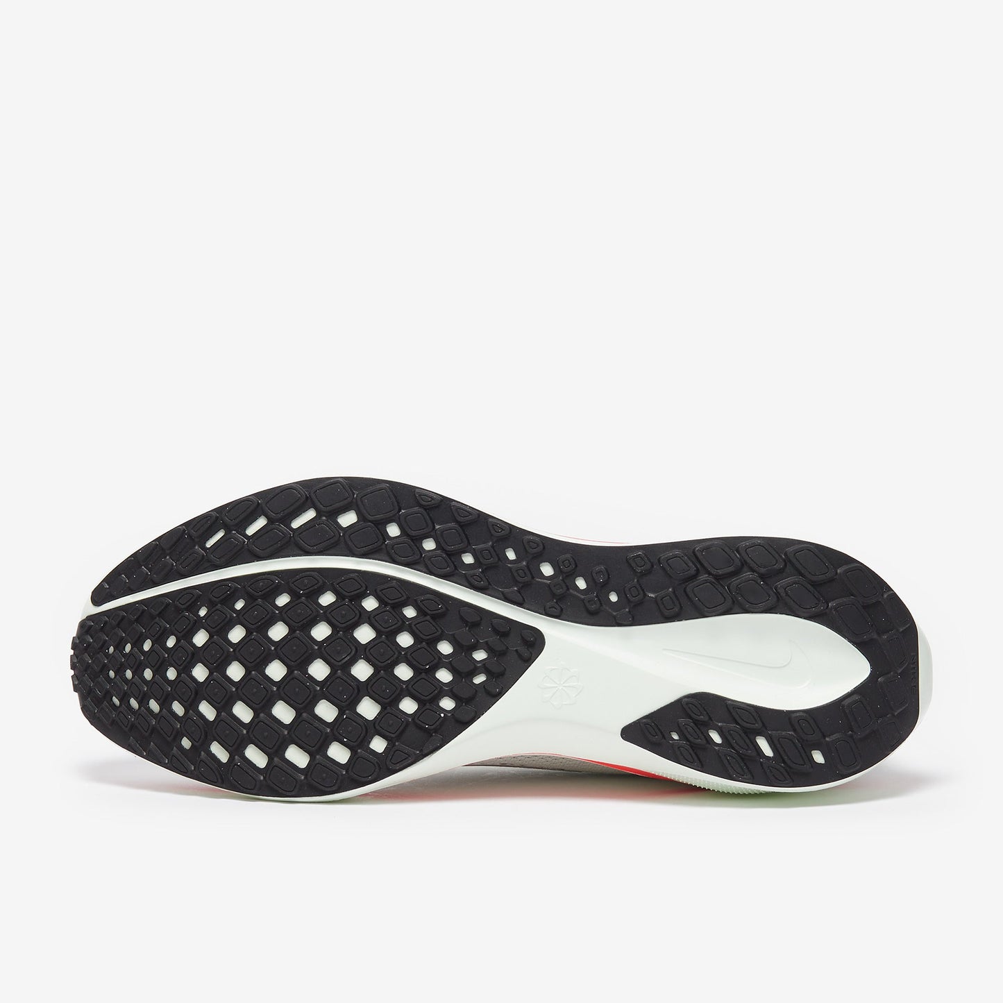 Nike Pegasus 41