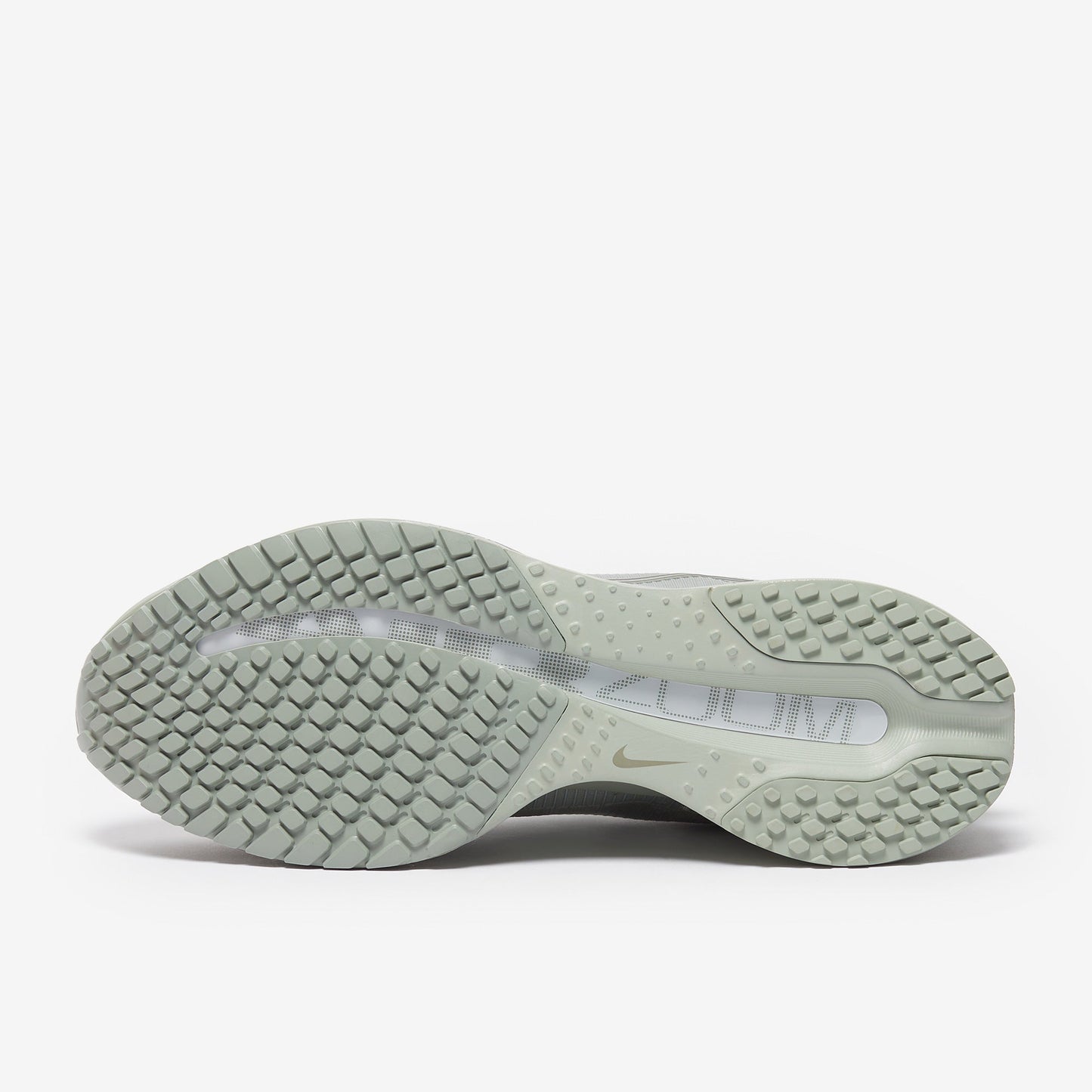 Nike Pegasus Premium