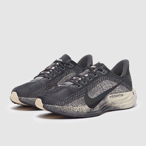 Nike Pegasus Plus