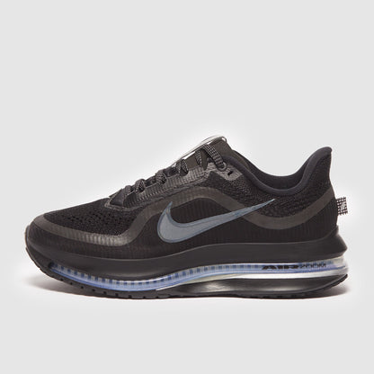 Nike Womens Pegasus Premium