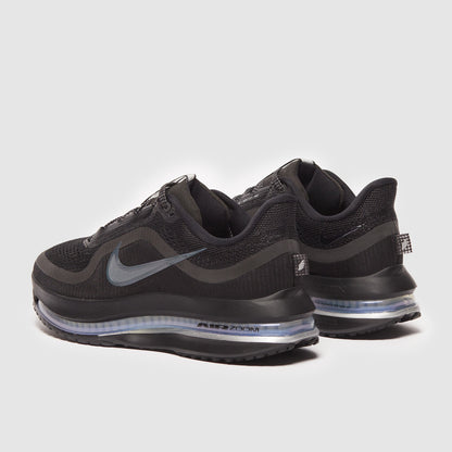 Nike Womens Pegasus Premium