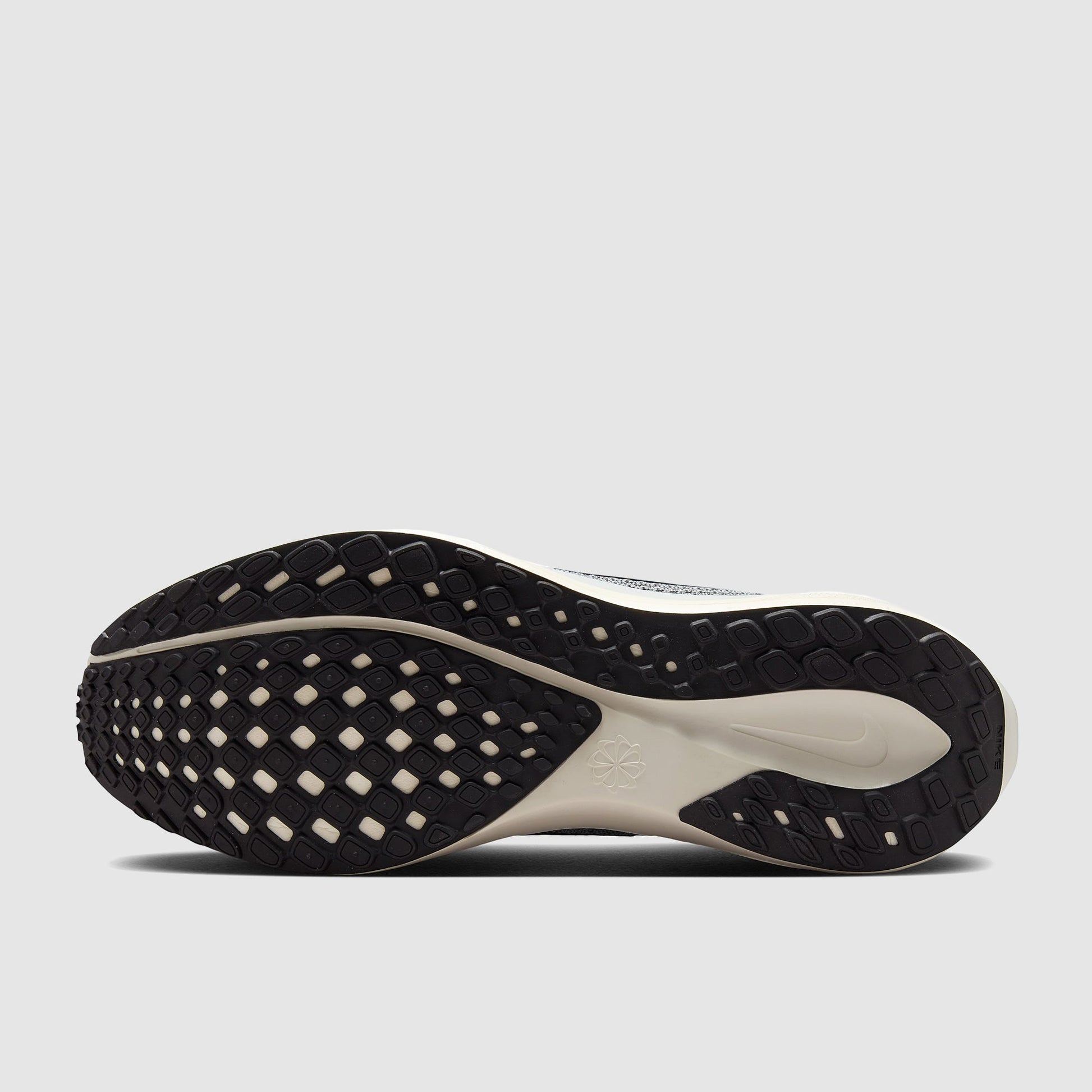 Nike Pegasus 41