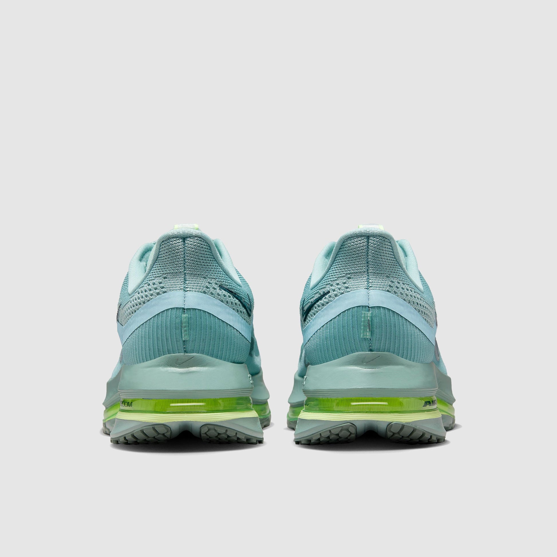 Nike Pegasus Premium
