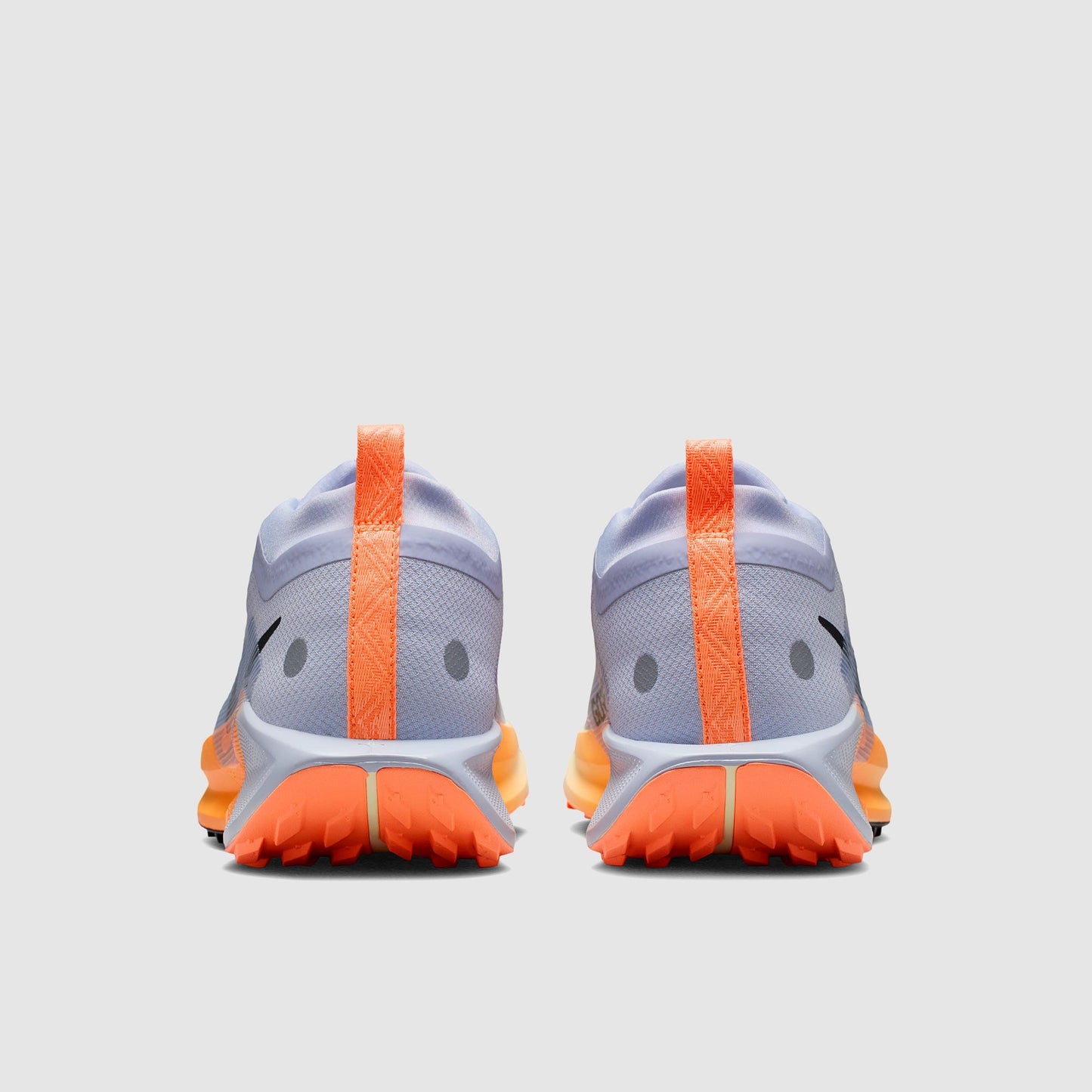 Nike Pegasus Trail 5 GORE-TEX Waterproof