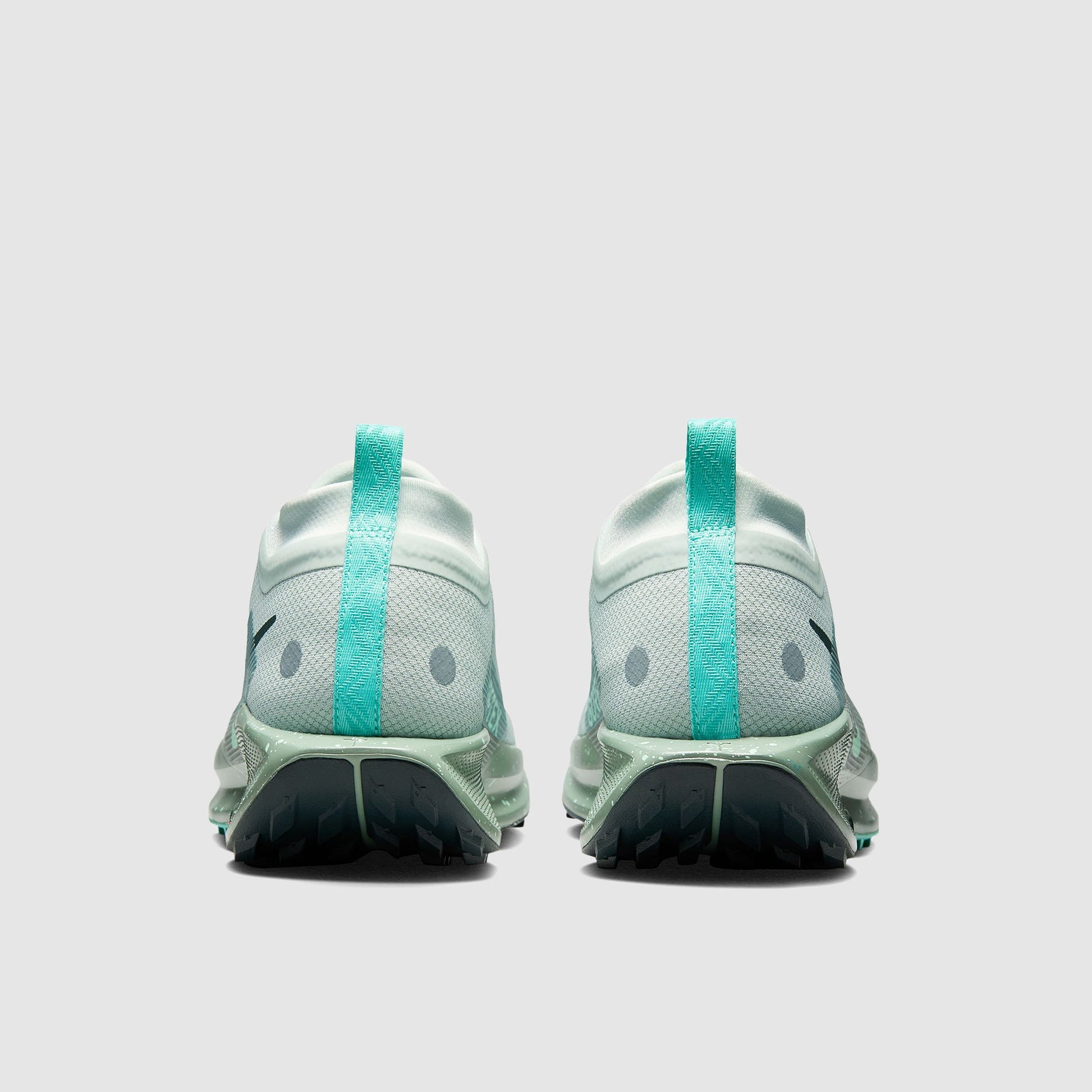 Nike Pegasus Trail 5 GORE-TEX Waterproof