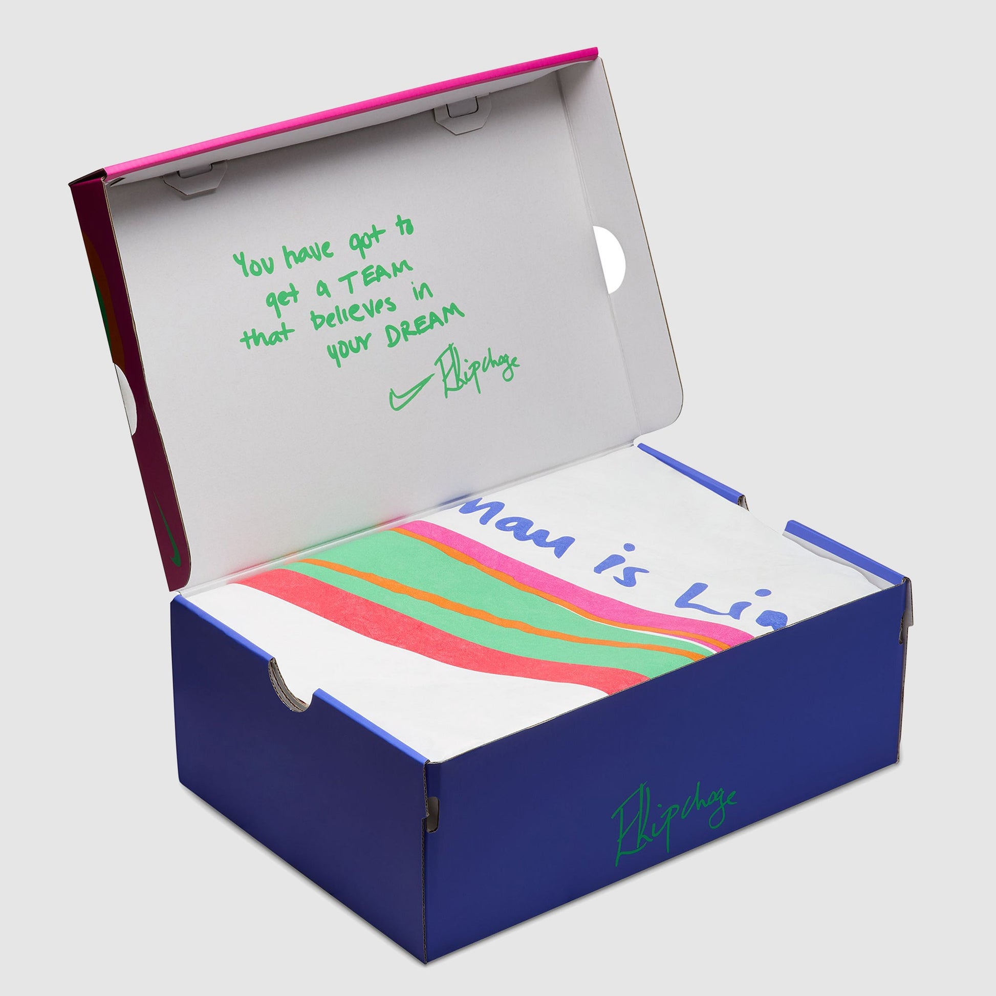 Nike Womens Eliud Kipchoge Alphafly Next% 3
