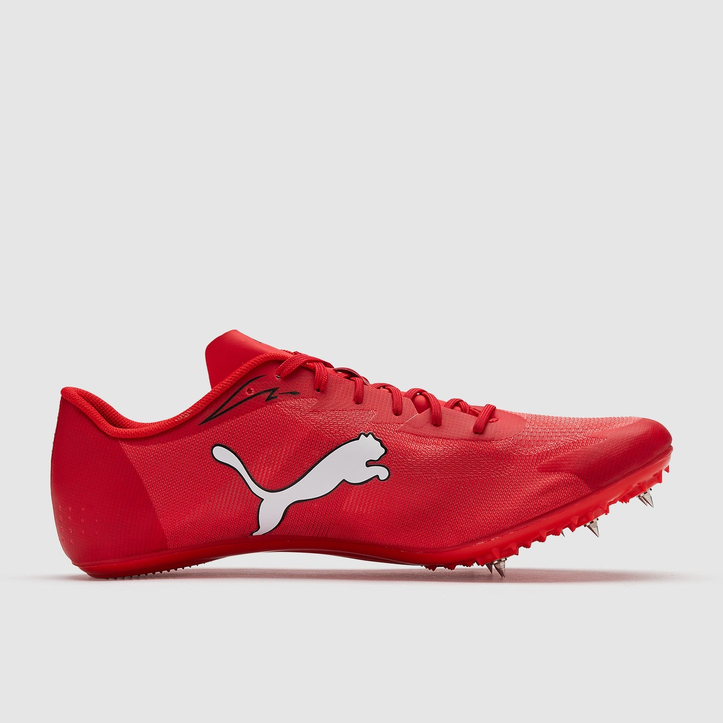 Puma evoSPEED Brush 7