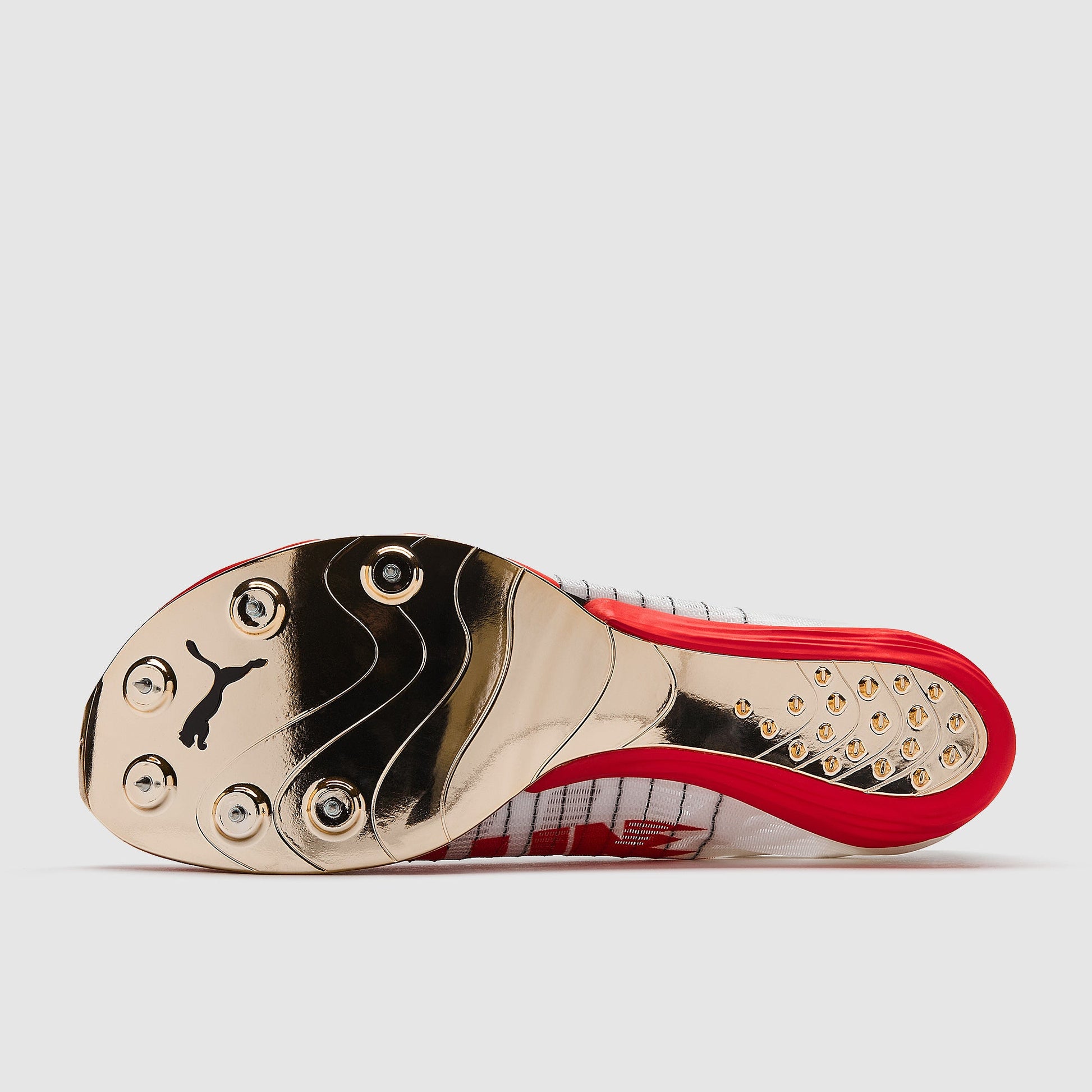 Puma evoSPEED Forte Nitro Elite Fire