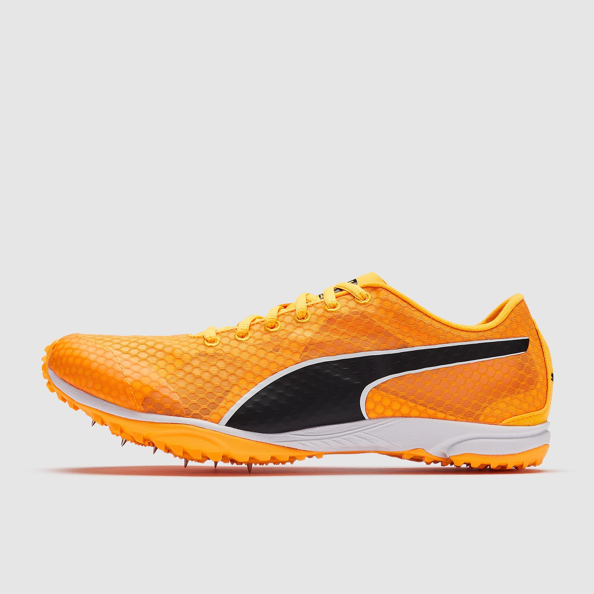 Puma evoSPEED Haraka 8