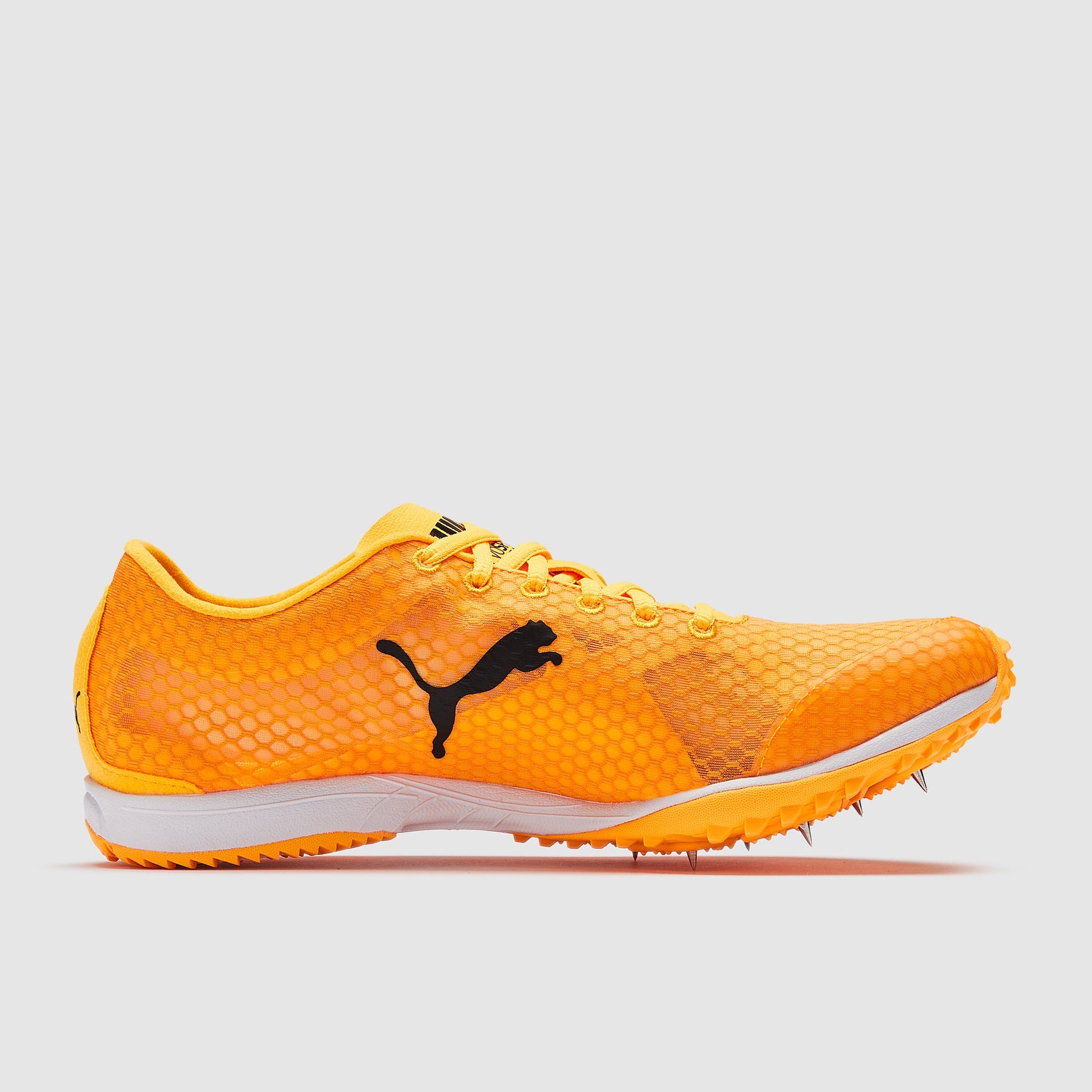 Puma evoSPEED Haraka 8