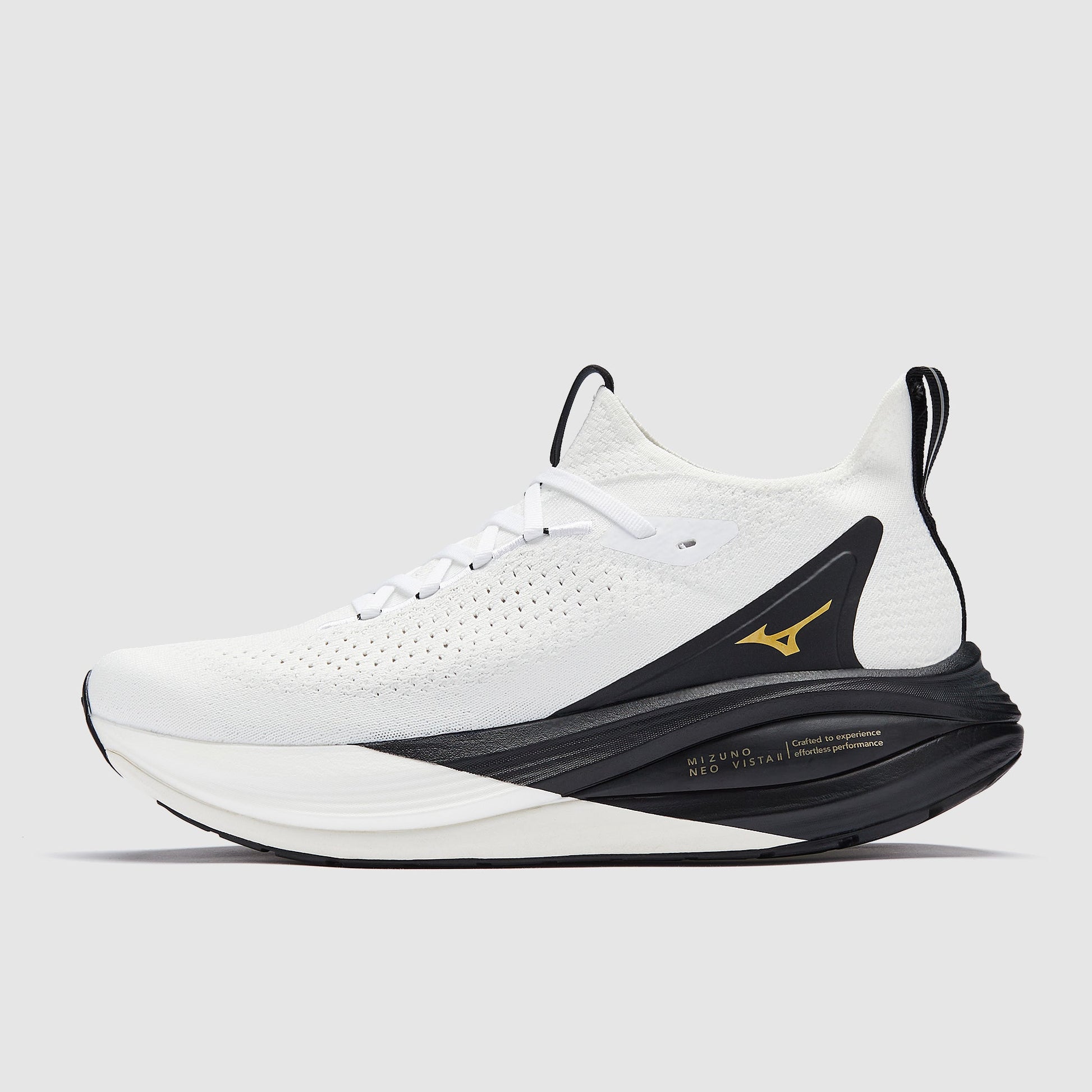Mizuno Neo Vista 2