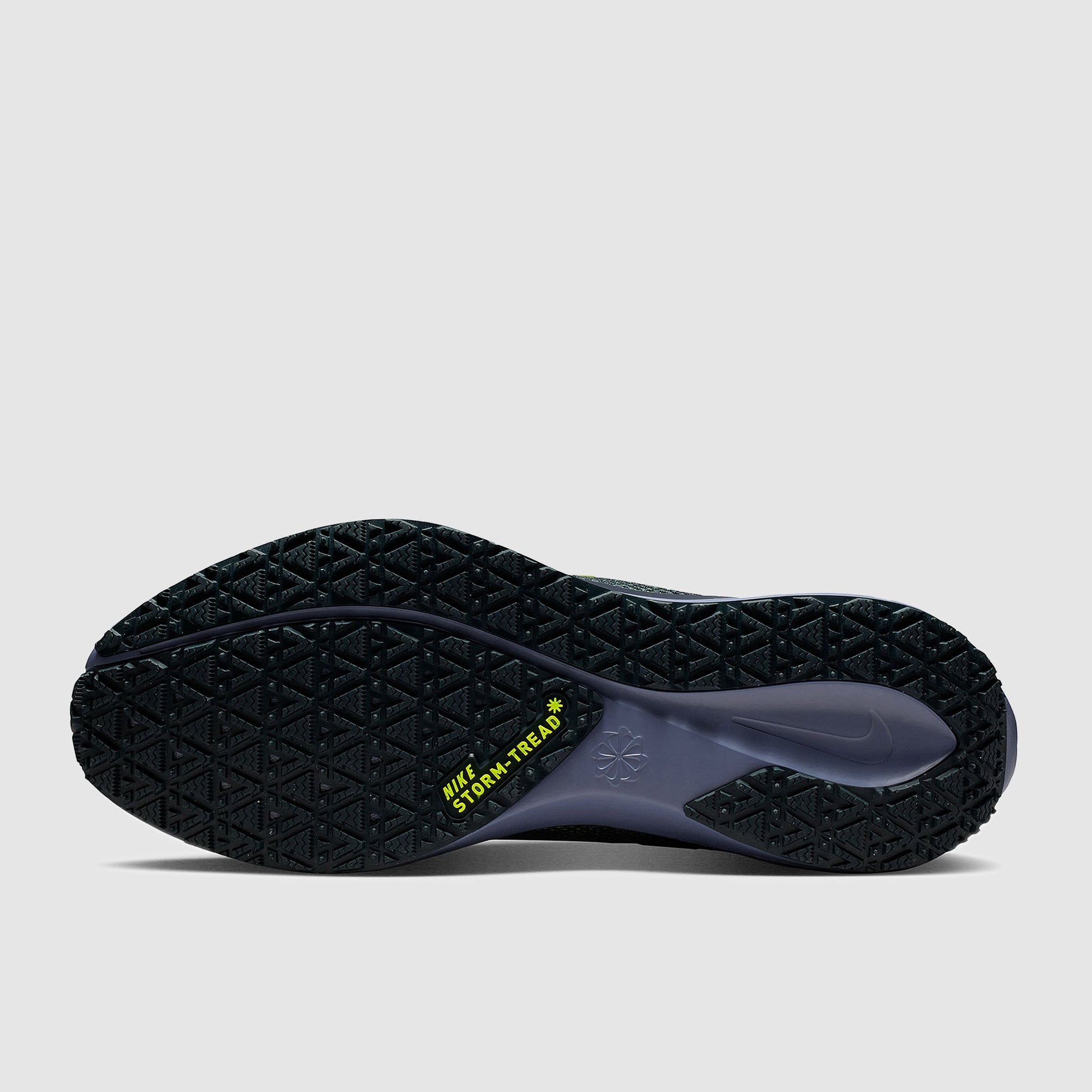 Nike Air Zoom Pegasus 41 GORE-TEX