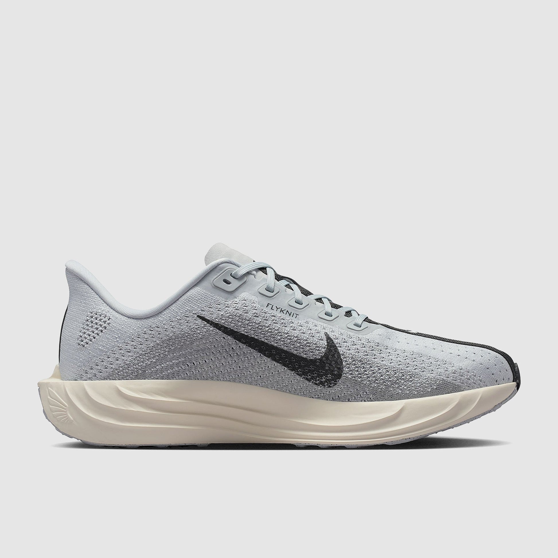 Nike Pegasus Plus