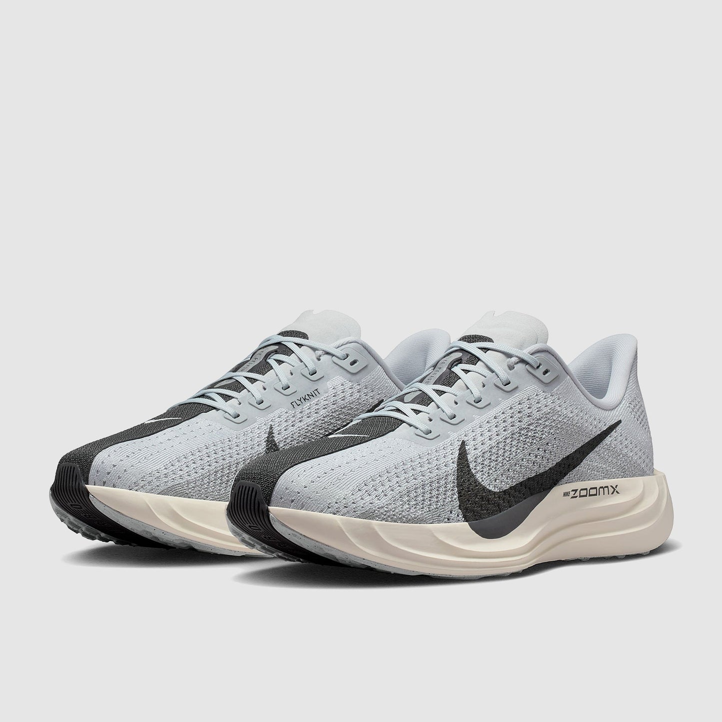 Nike Pegasus Plus