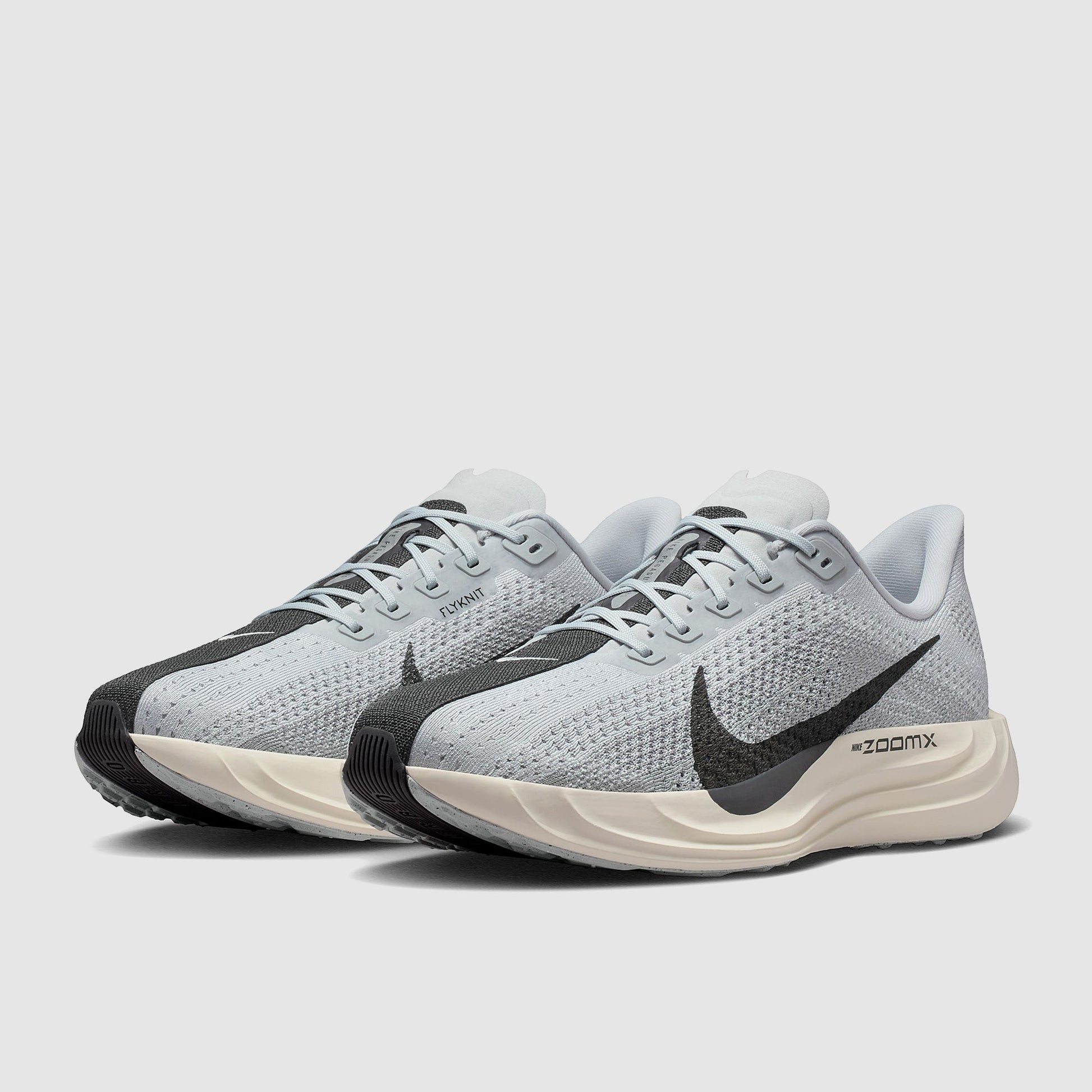 Nike Pegasus Plus