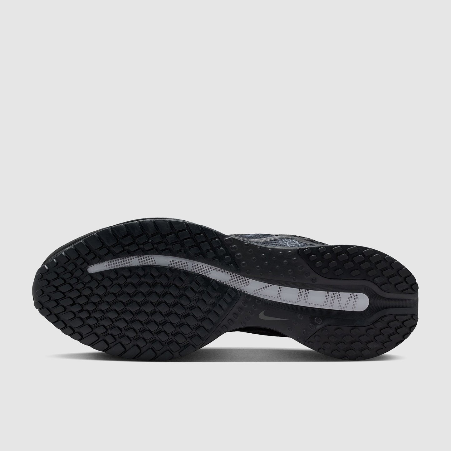 Nike Pegasus Premium