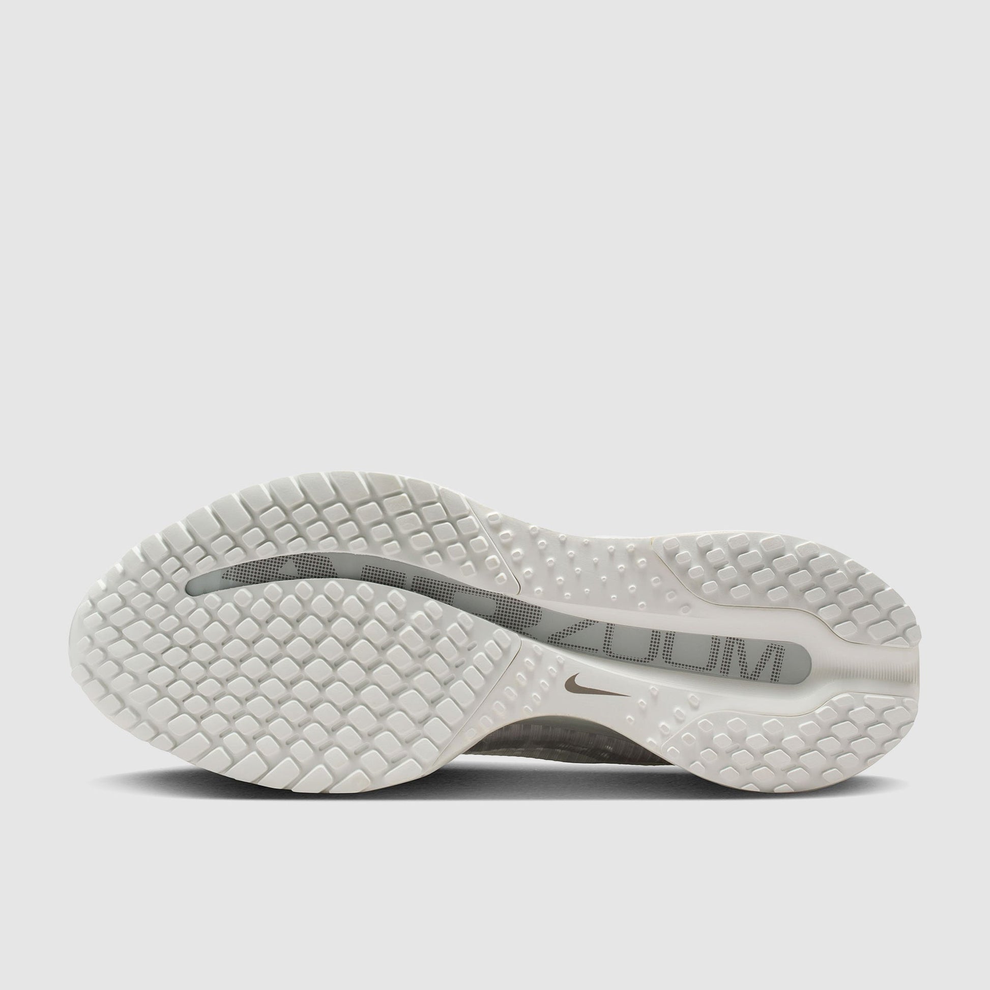 Nike Womens Pegasus Premium