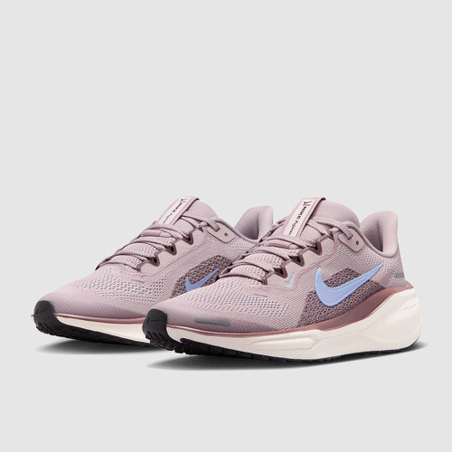 Nike Kids Pegasus 41 (GS)