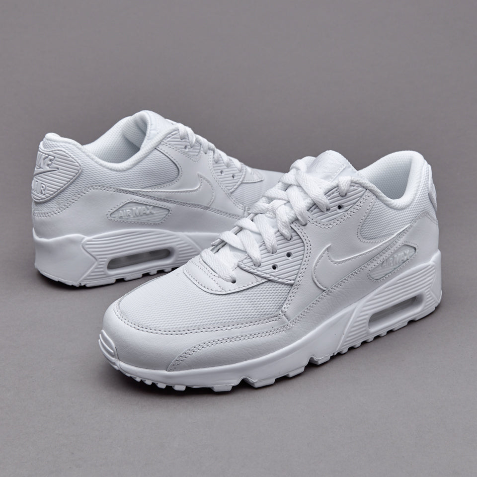 Nike Air Max 90 Mesh