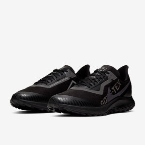 Nike Zoom Pegasus 36 Trail GORE-TEX