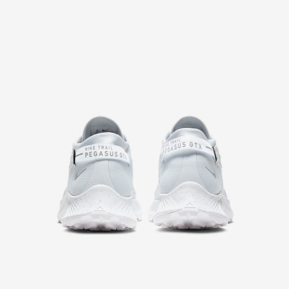 Nike Pegasus Trail 2 GORE-TEX