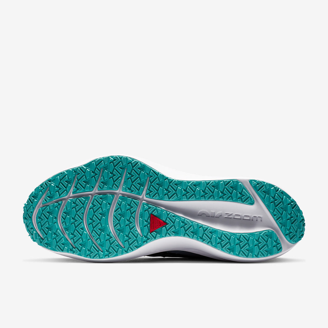 Nike Womens Winflo 7 Shield