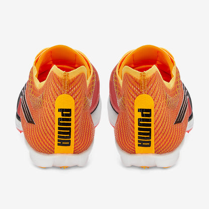 Puma evoSPEED Distance Nitro Elite+ 2 - Sun Stream-Sunset Glow