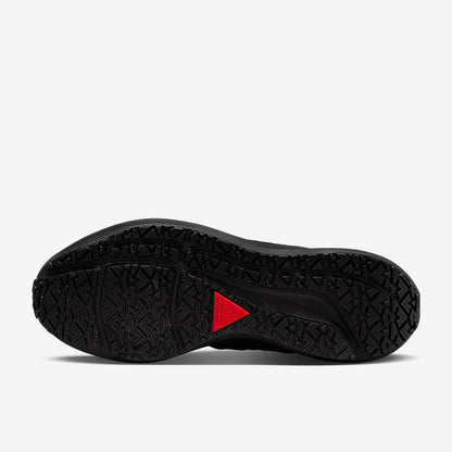 Nike Womens Air Zoom Pegasus 39 Shield - Black/Black-Off Noir