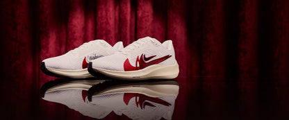 Nike Womens Pegasus 40 Premium