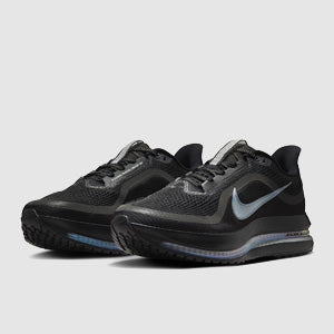 Nike Pegasus Premium